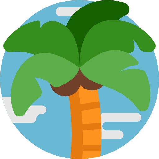 Palm tree